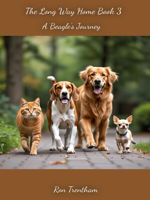 cover image of The Long Way Home Book 3